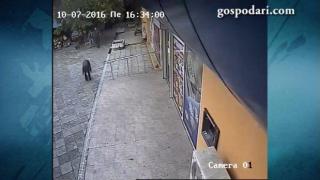 Арестуваха мъжа, убил брутално котка в Бургас