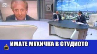 Бойко Борисов пощадява муха при Антон Хекимян
