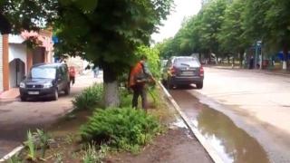 Хем на градус, хем на работа (ВИДЕО)