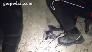 Спасиха куче под руините след тежките земетресения в Италия (ВИДЕО)