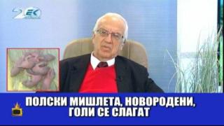 Зрителка изненада професор Мермерски с лек от голи мишлета