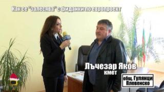 Как се "залесява" с фиданки с пари от Европейския съюз?