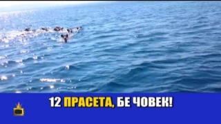 Рачков и Зуека разказват за неволите на група рибари