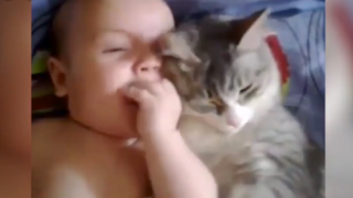 Любвеобилна котка се гушка в сладко бебе (ВИДЕО)