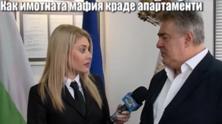 Нотариуси излязоха в защита на колегата им, допуснал кражбата на имот от имотната мафия