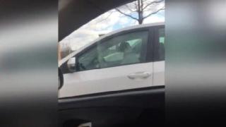 Нетърпеливо куче дава зор на стопаните си, докато те пазаруват (ВИДЕО)