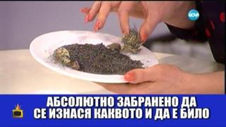 Журналист си носи нелегално пръст и растение от Антарктида