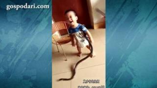 Сладко бебе си играе със змия все едно е плюшена играчка (ВИДЕО)