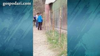 Роми тормозят животните в благоевградския зоопарк (ВИДЕО)