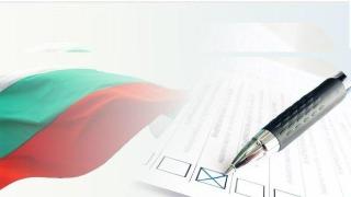 Избирателната активност в страната е 25,31%