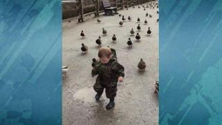 Сладко бебе в униформа се прави на командир на стадо патици(ВИДЕО)