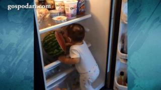 Сладко бебе похапва диня направо от хладилника (ВИДЕО)