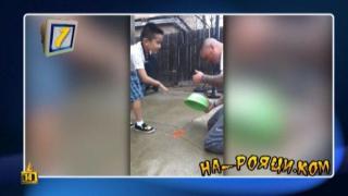 На-Рояци.Ком: Най-лошите родители и глезени котки