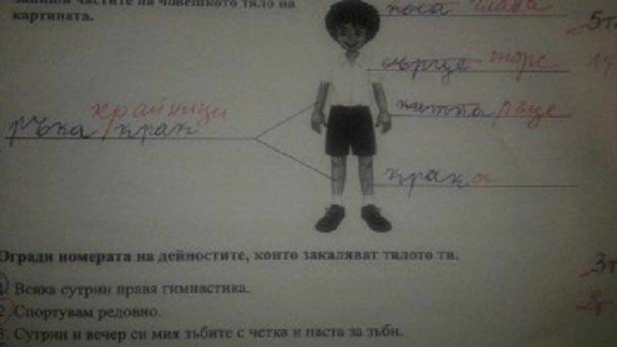 Второкласник отговаря вярно на въпроси от тест, въпреки това бива коригиран от учителката