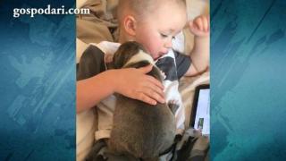 Сладки бебета и кучета се прегръщат, докато спят (видео)