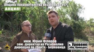 Ето какво установиха горските в разследването на Господарите за сечта в Криводол