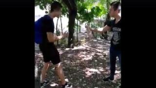 Ученици се гаврят с малко коте пред публика (видео 18+)