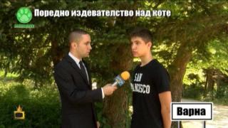 Ученикът, който издевателстваше над малко коте, се разкайва пред Господарите