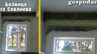 Мухъл и влага в хирургично отделение на болница в Севлиево