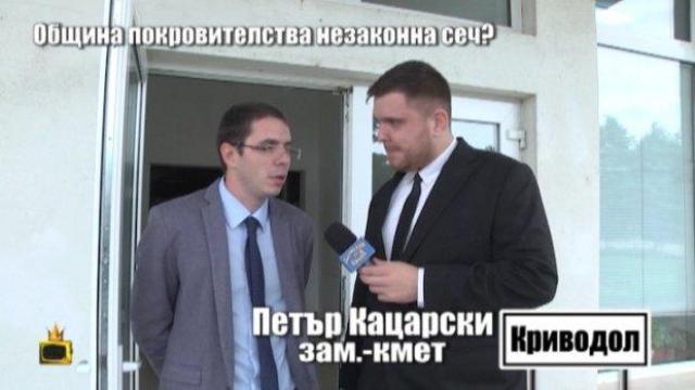 За младия зам.-кмет на Криводол схемата с масовата сеч е просто ситуация