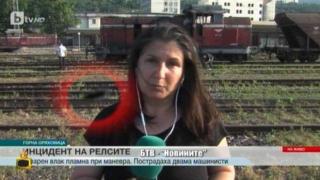 Нашествие на мухи в родния ефир