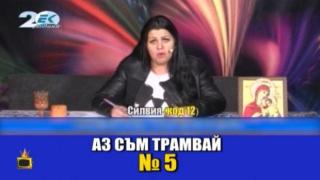Нервни магове се вбесяват от въпроси за котки на изплащане (видео)