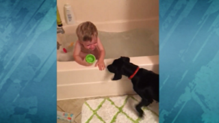 Куче забавлява сладко бебе в банята (видео)