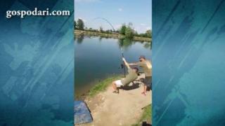 Рибари се борят с опърничава риба (видео)