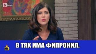 Темата с токсичните яйца "побърка" родни водещи