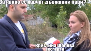 Експерти установиха груби нарушения в стопанисването на парк
