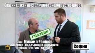 Опасни храсти по столичното околовръстно шосе създават предпоставки за ПТП