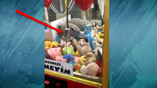 Малко коте проваля опит за спечелване на плюшено мече (видео)