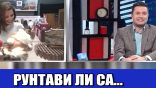 Водещ пуска двусмислени шеги за рунтави, малки котета