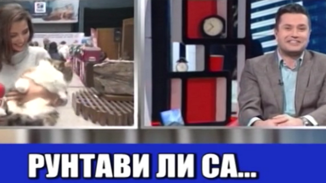 Водещ пуска двусмислени шеги за рунтави, малки котета