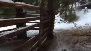 Ловни дружини изпратиха сигнал до прокуратурата за незаконни капани (видео)