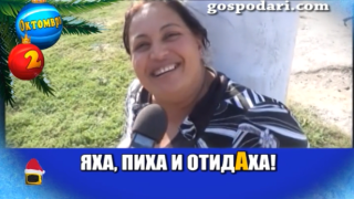 Впечатления на роми от рок концерт и кумгейтска история в най-доброто за октомври 2017 г.