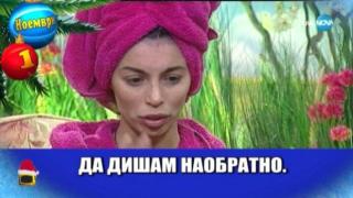 МегЗ и голо дупе в най-доброто за месец ноември 2017 година