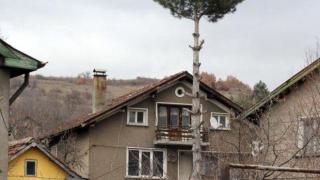 Майката на убития в Нови Искър Боби: Не вярвам Росен да е убиецът
