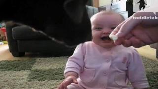 Сладко бебе се залива от смях заради куче, което яде пуканки (видео)