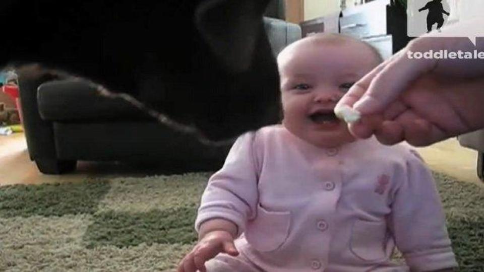 Сладко бебе се залива от смях заради куче, което яде пуканки (видео)