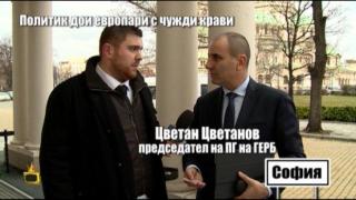 Какво ще прави партия ГЕРБ по случая с политика, който дои европари с чужди крави?