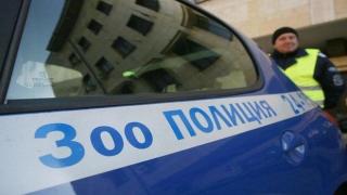 Зоополицията отново на дневен ред: Над 400 униформени ще се занимават с инциденти с животни