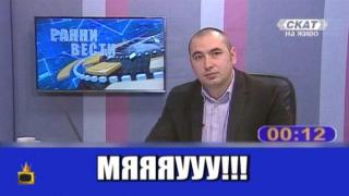 Зрителите на СКАТ вече не говорят, а мяукат