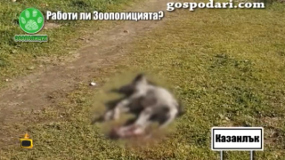 Работи ли Зоополицията?
