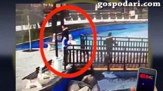 Деца обръщат циментов кош за боклук в басейн