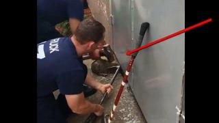 Пожарникари спасиха заклещено коте под метална врата (видео)