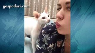Котка напада момиче, което прави гримаси (видео)