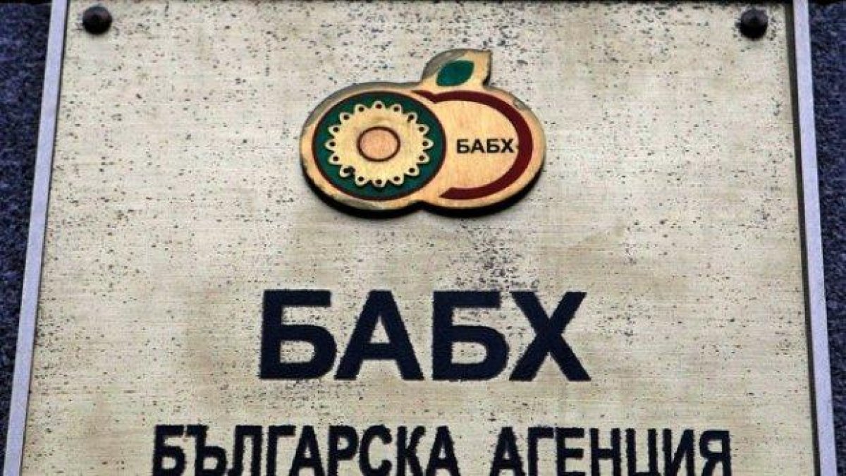 Част III: Птиците не умират сами