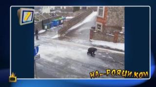 На-Рояци.Ком: Най-смешните падания и подхлъзвания на лед