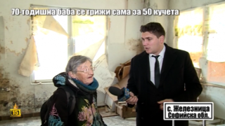 Ето как може да помогнете на баба Люси, която сама се грижи за 50 кучета
